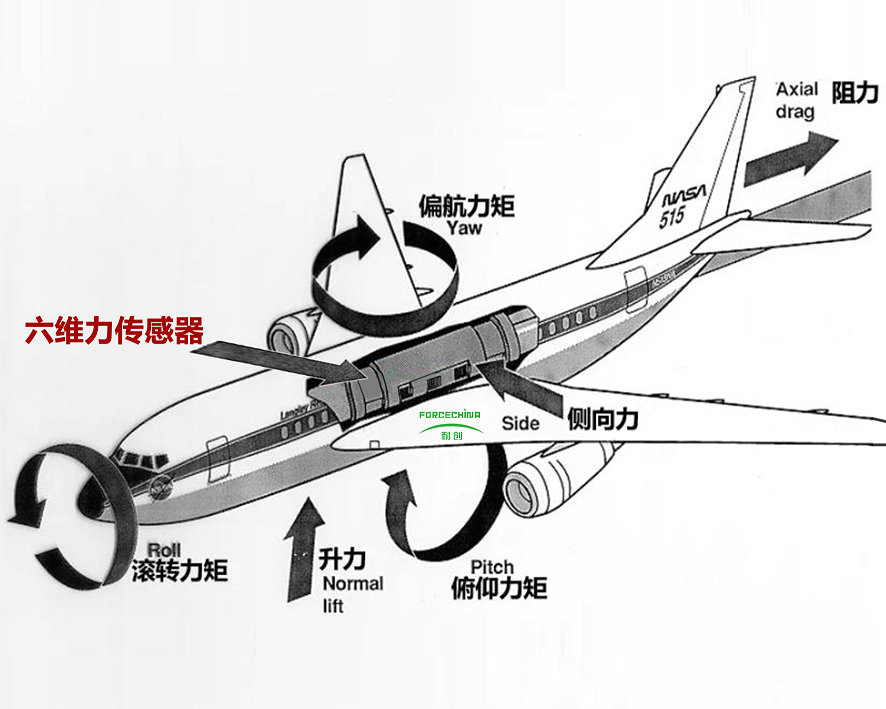 1029主图压缩 1029主图压缩