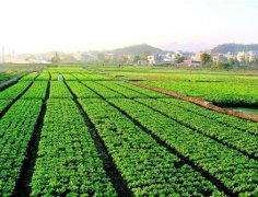 扭矩传感器与农机应用